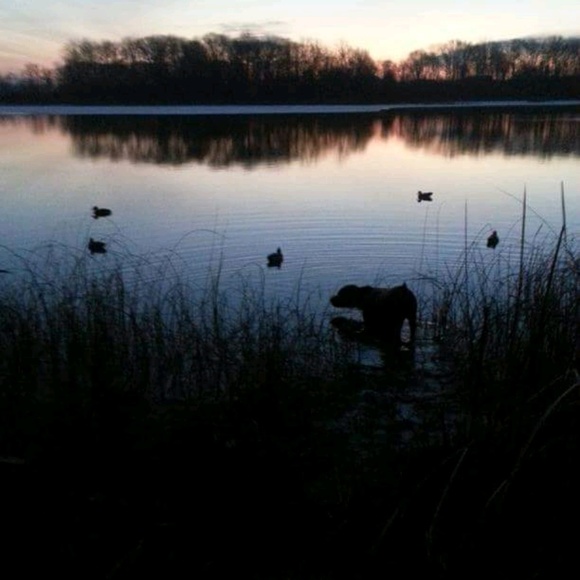 Meet your Posher, James - Picture 1 of 1